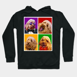 Cavapoo Cavoodle puppy photo booth selfies ! cute cavalier king charles spaniel Hoodie